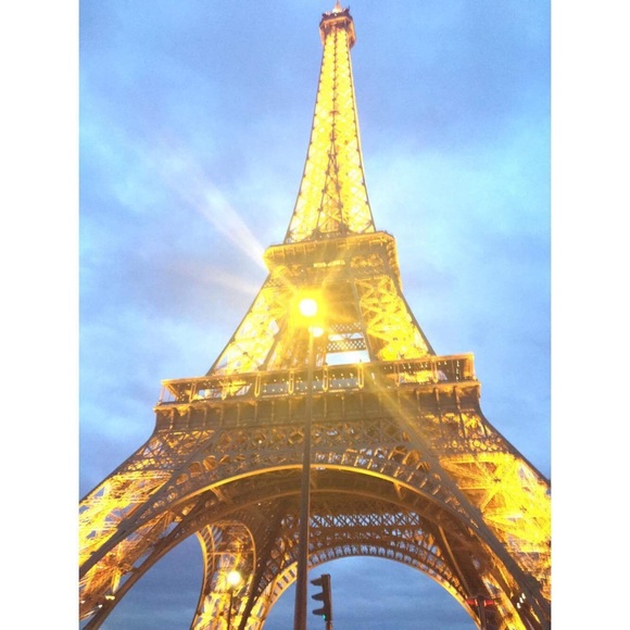 Meet your Posher, Ellie - Picture 1 of 1